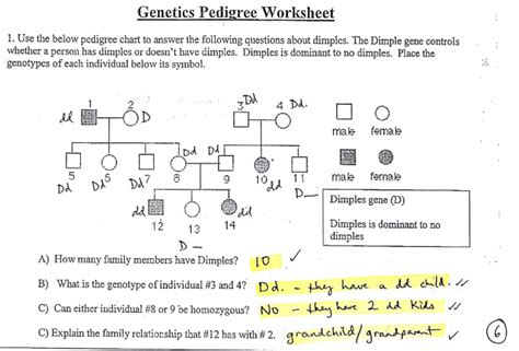 Genetics Pedigree Worksheet Answers Worksheet Database