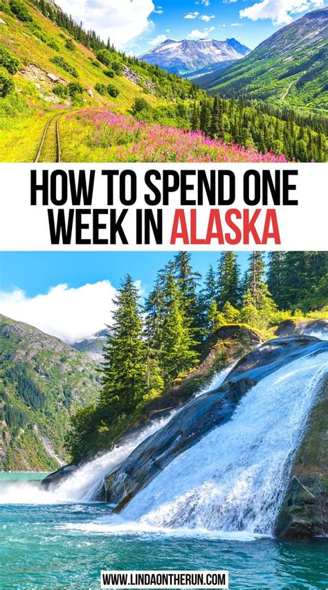 How To Spend One Week In Alaska Alaska Cruise Alaska Travel Canada