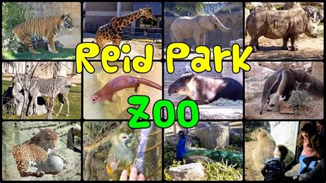 Visit Reid Park Zoo Tucson Free Fun Guides
