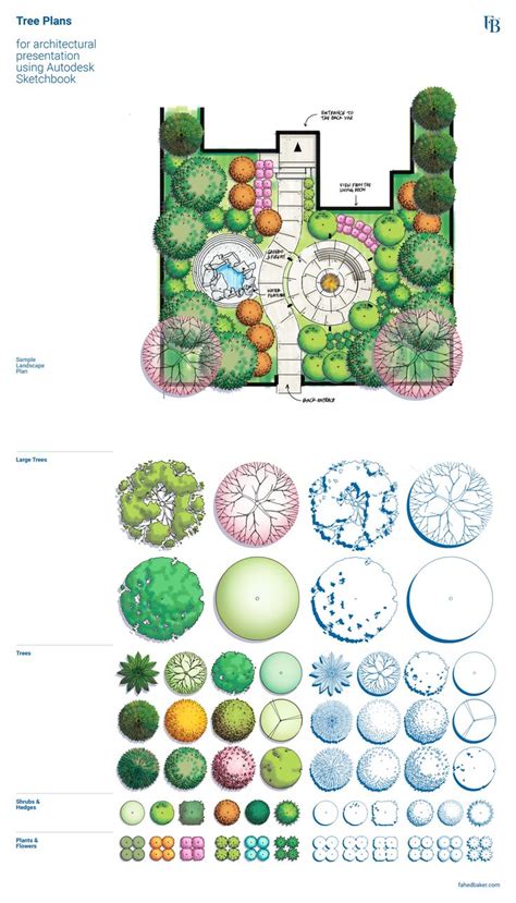 Tree Plans Architecture Design Drawing Landscape Architecture