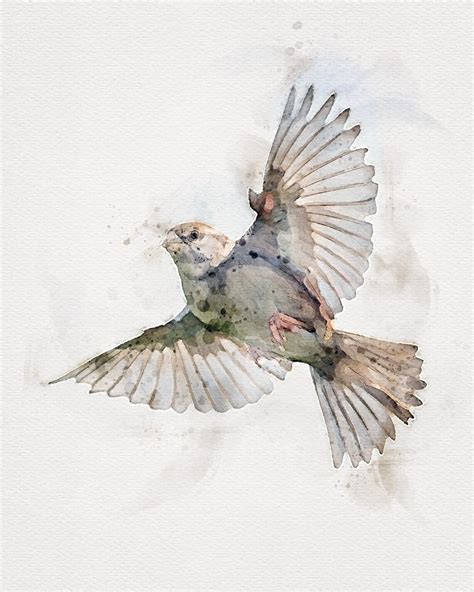 Sparrow Flying Bird Painting Sparrow Watercolor Painting Etsy