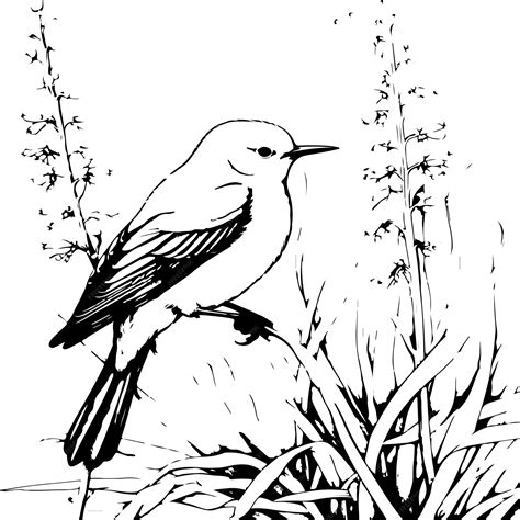 Premium Vector | Prothonotary coloring page