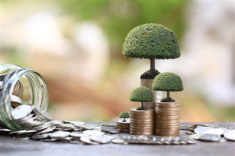 What is Equity Investment? Everything you need to know - InvestSmall