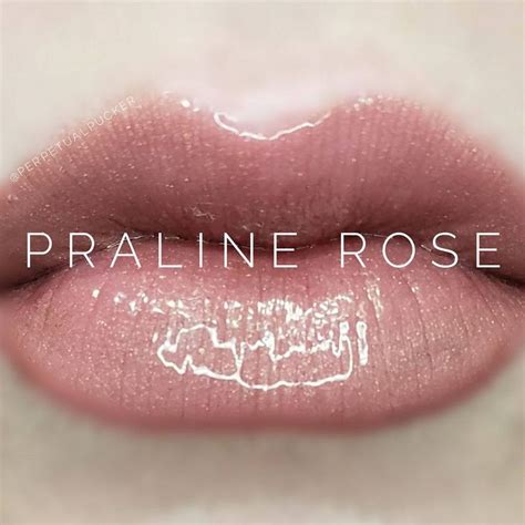 Praline Rose Is A Cool Toned Color With A Matte Finish To Order Email