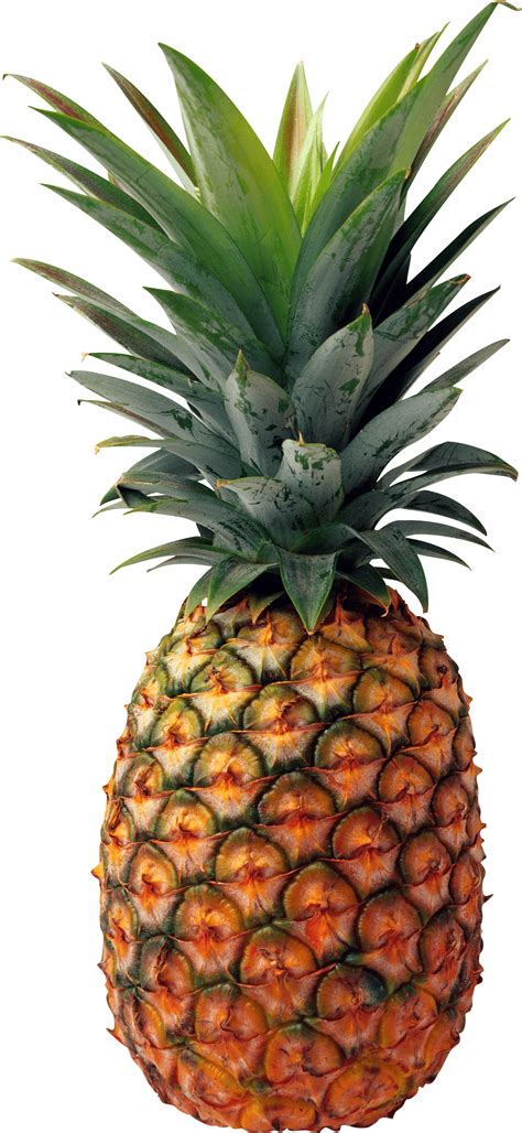 Real Pineapple Png Find And Download Free Graphic Resources For