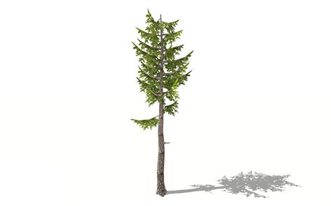 Forest Pine Tree 3d 3d Model 6 Unknown 3ds Stl Obj Fbx Dae
