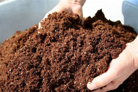 Proses Pembuatan Pupuk Kompos Menggunakan Sampah Organik