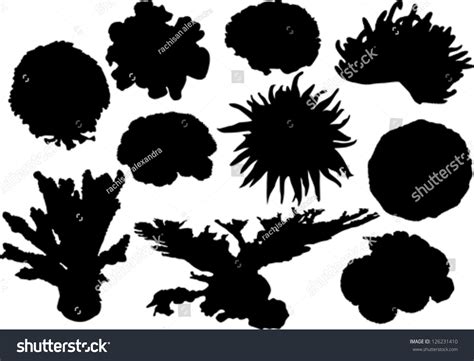 Coral Silhouettes Stock Vector Illustration 126231410 Shutterstock