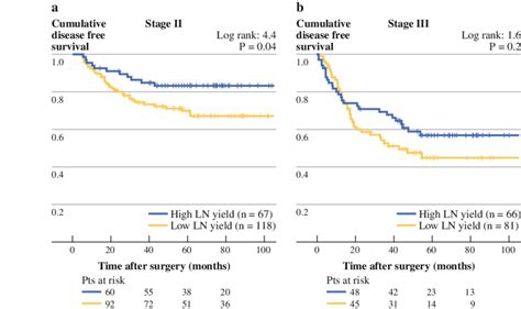 Disease Free Survival Curves Of Colon Cancer Patients With High C 10