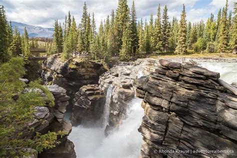 Athabasca Falls How To Visit Athabasca Falls In Jasper National Park