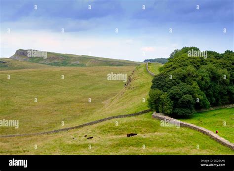 Europe Great Britain England Northumberland Hadrians Wall Stock