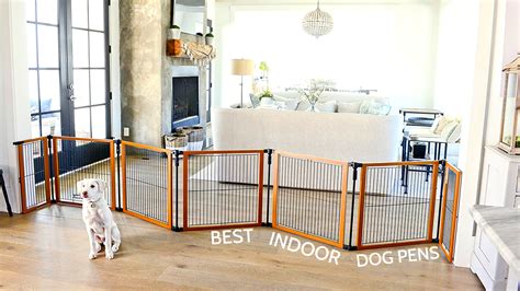 Indoor Dog Pen Interior Design Tips For The Best First Impression Aid