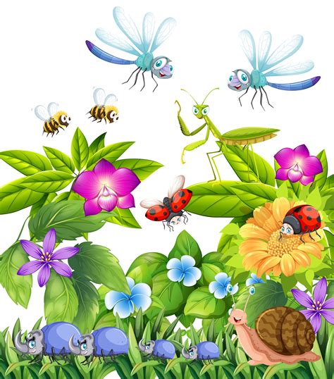 Many Insects Flying In Garden 372639 Vector Art At Vecteezy