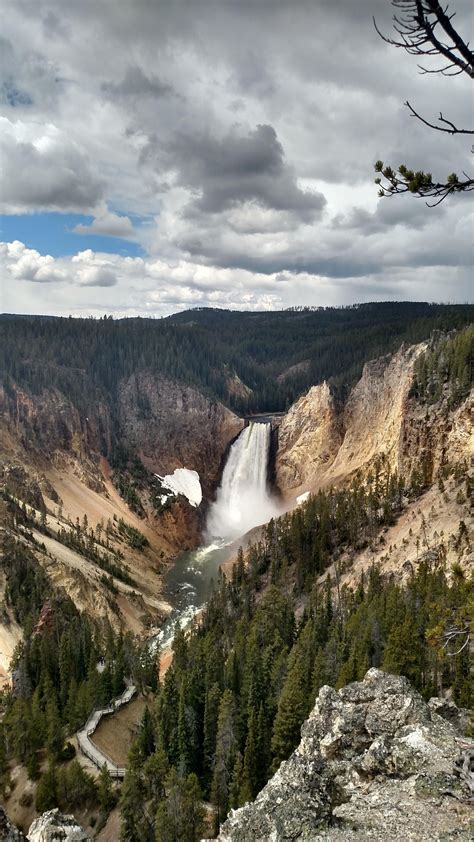Breathtaking Lower Falls In The Grand Canyon Of Yellowstone Oc