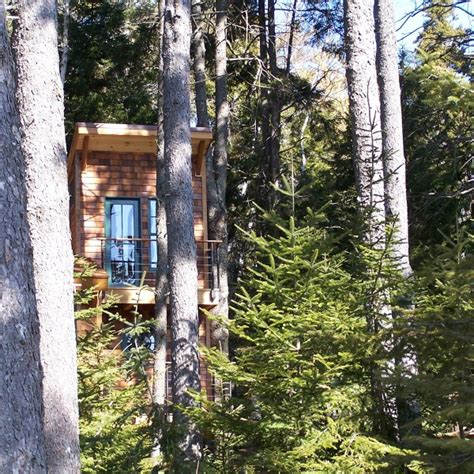 Tiny House In The Trees 350 Sq Ft Of Bliss Tiny House Pins