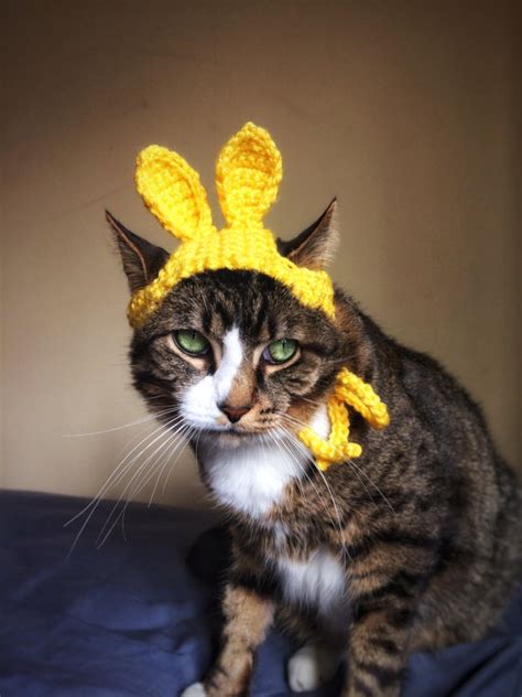 Easter Bunny Hat For Cat Crochet Yellow Costume Hat For Cat Etsy