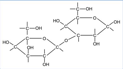 Galactose Structure Diagram