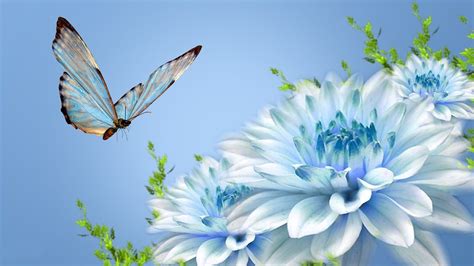 Animated Pictures Of Blue Flowers And Butterfly In Hd 1080p Hd