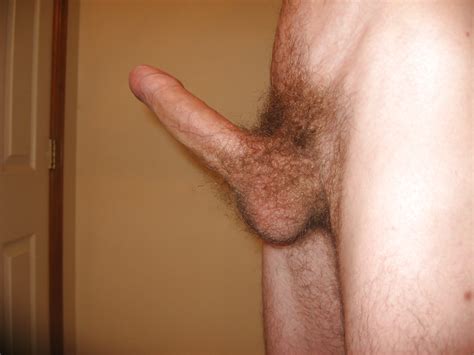 Natural Hairy Penis