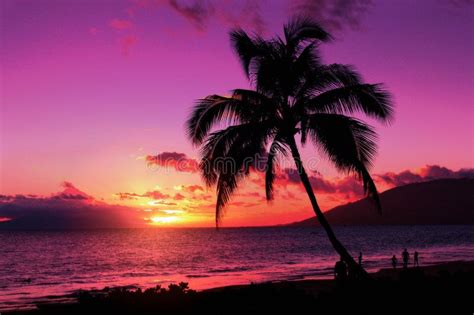 Purple Sunset A Purple Sunset In Hawaii Aff Sunset Purple
