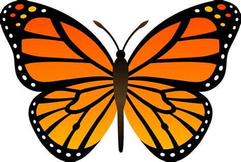 Orange Monarch Butterfly Vector Free Clip Art