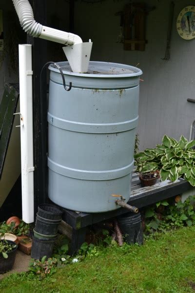 How To Make A Rain Barrel Mikes Backyard Nursery