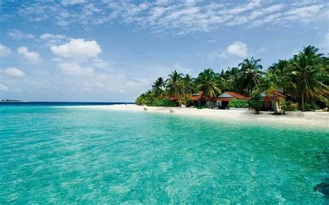 Awesome Beach Landscape Maldives Island Palm Trees Beach