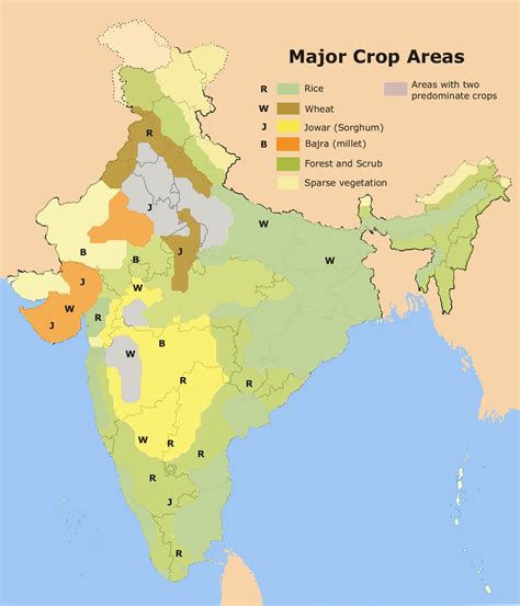 Crops In India Geography Study Material And Notes