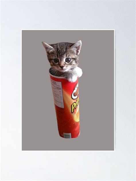 Cute Cat In Pringles Packaging Poster For Sale By Pusla Redbubble