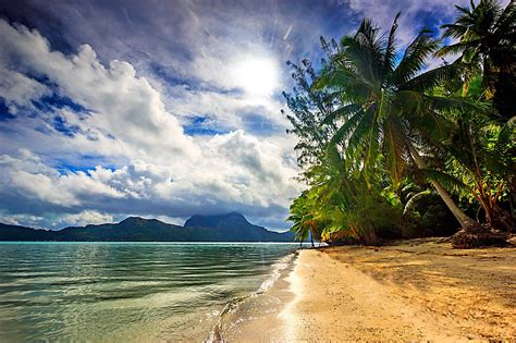 Landscape Nature Bora Bora Palm Trees Beach Sea Tropical Island Summer Mountain Clouds