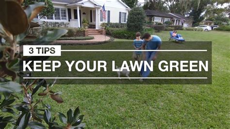 Lawn Care For Greener Grass 3 Quick Tips For Spring Youtube