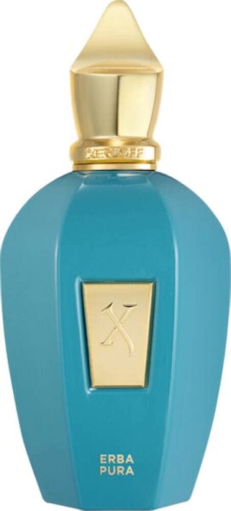 xerjoff erba pura 100ml eau parfum parfum unisex eau de parfum