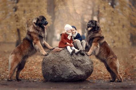 36 Truly Magical Photos Of Little Kids And Their Big Dogs Life With Dogs