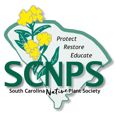 SC native plants and trees | Native plants, Native plant gardening, Charleston gardens