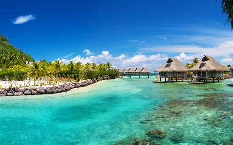Tropical Ozean Meer Palmen Häuser 2560x1600 Hd Hintergrundbilder Hd