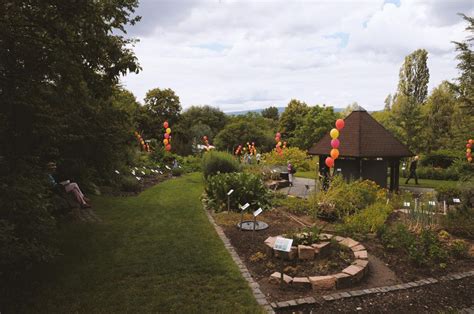 R Ckblick Apothekergartenfest Apothekergarten Wiesbaden