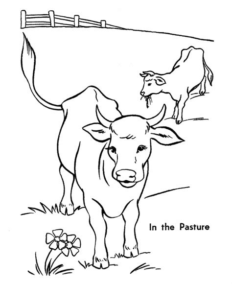 Printable Pictures Of Cows Coloring Home