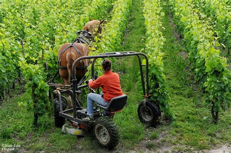 Voir plus d'idées sur le thème outils agricoles, micro tracteur, tracteur. Percheron International: Avec Les Créateurs D'Outils