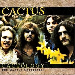 Parchman farm cactus guitar cover. cactus