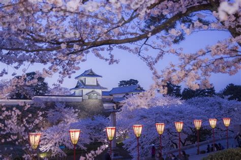 Kanazawa Castle And Kenrokuen Garden Free Cherry Blossom Viewing