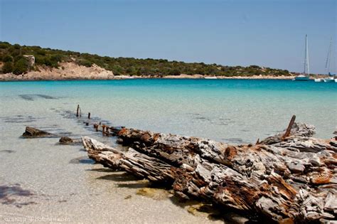 11 Meravigliose Spiagge Dellarcipelago Della Maddalena In Sardegna
