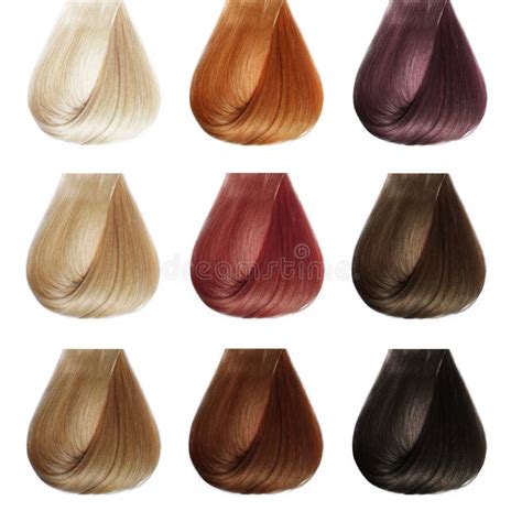 1376 Hair Colors Palette Stock Photos Free And Royalty Free Stock