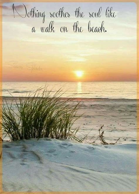 Beach Ocean Quotes Beach Quotes Nature Quotes Surf Quotes Beach Sayings Sunset Quotes