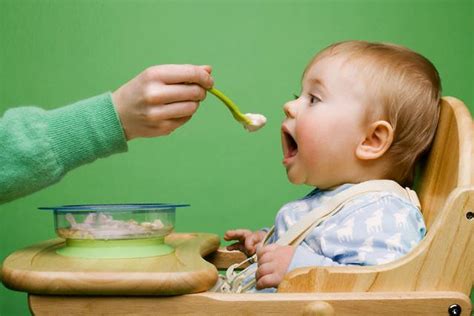 Alimentación Infantil Qué Comer A Partir De Los 6 Meses