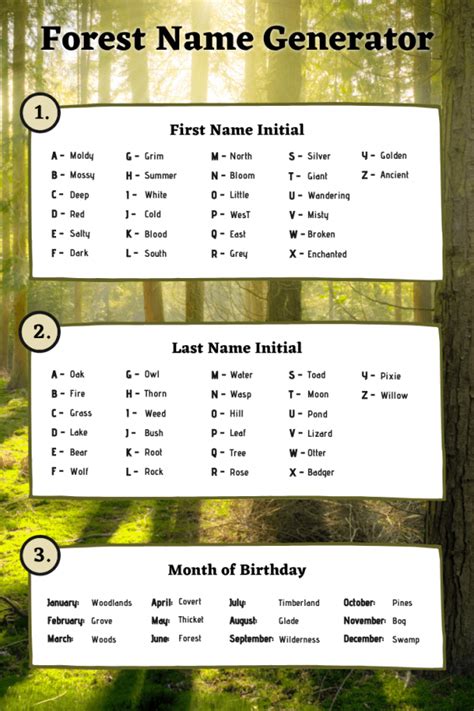 Forest Name Generator Forest Name Ideas Imagine Forest