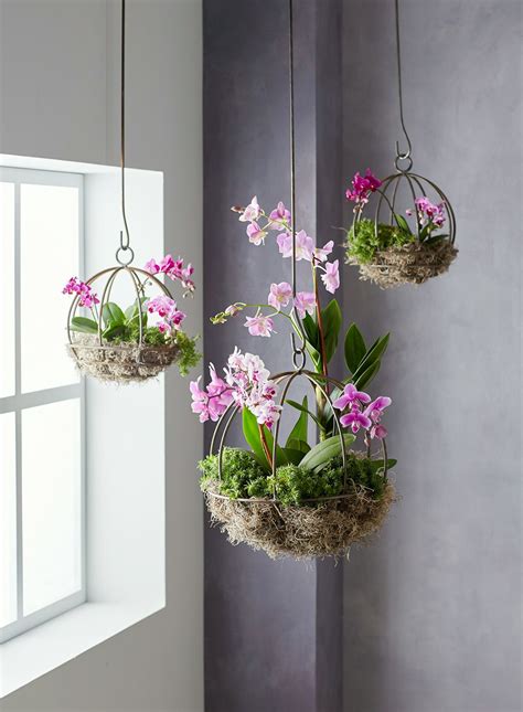 These Indoor Hanging Plants Range From Varieties With Leggy Trailing