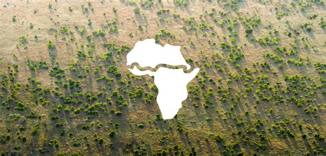 La Grande Muraglia Verde Per Combattere La Desertificazione In Africa