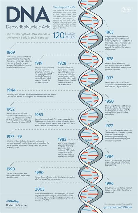 11 Best Heredity Timeline Images On Pinterest Life Science Physical