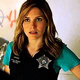 Erin Lindsay Chicago Pd Tv Series Icon Fanpop