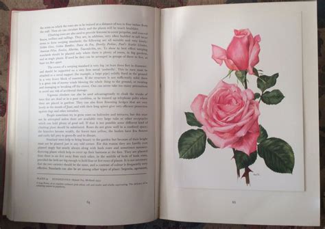 This Old Book By Eric Bois Reprint 1964 Includes Beautiful Prints By